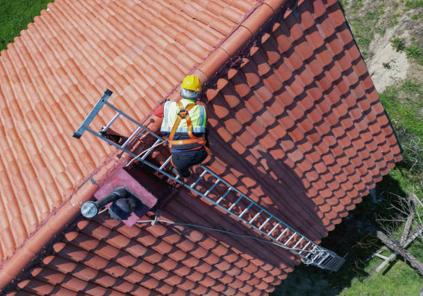 Best Roof Moss and Algae Removal  in Clinton, MO